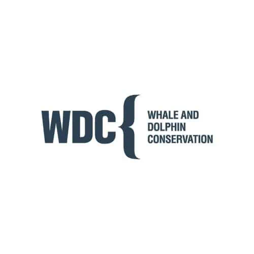 Whales & Dolphin Conservation